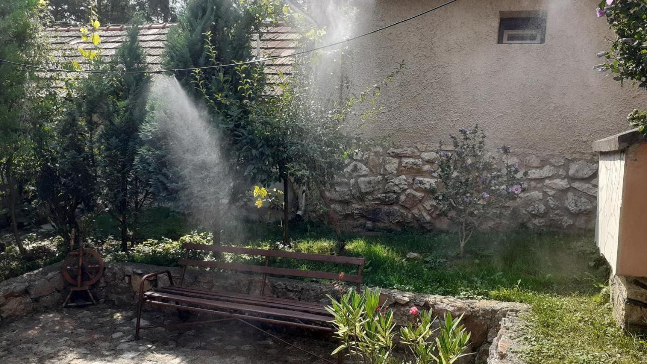 Szakal Vendeghaz Hotel Aggtelek Exterior photo